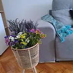 Rainbow Apartment