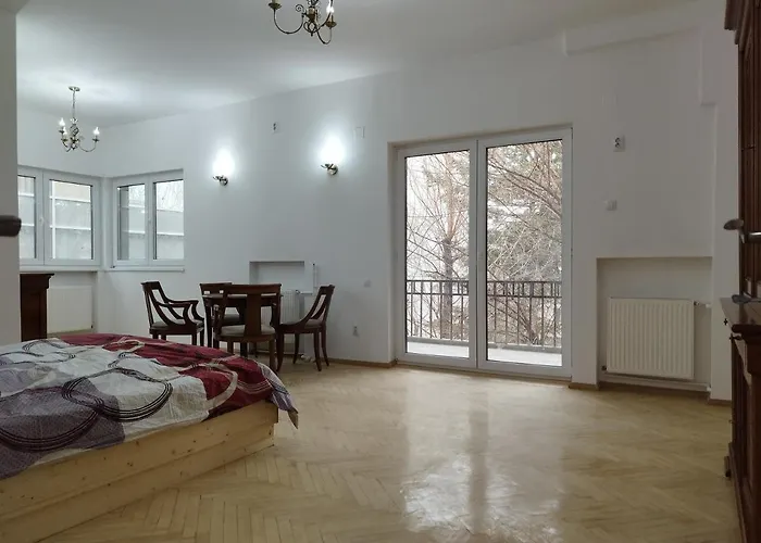 Central Appartment - Heart Of Bucharest - Sector 1 - New Renovated - Open Space