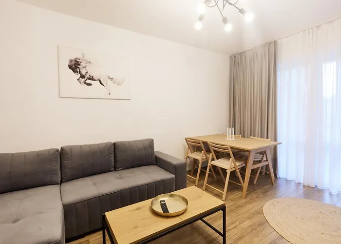 Cozy Minimal Apartament Center.
