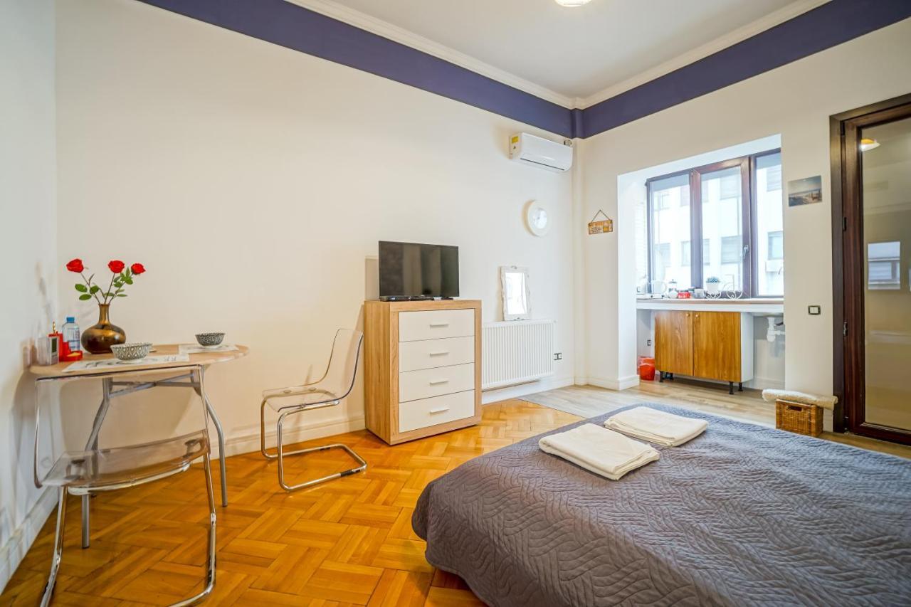 Apartament Victoriei Bricks *