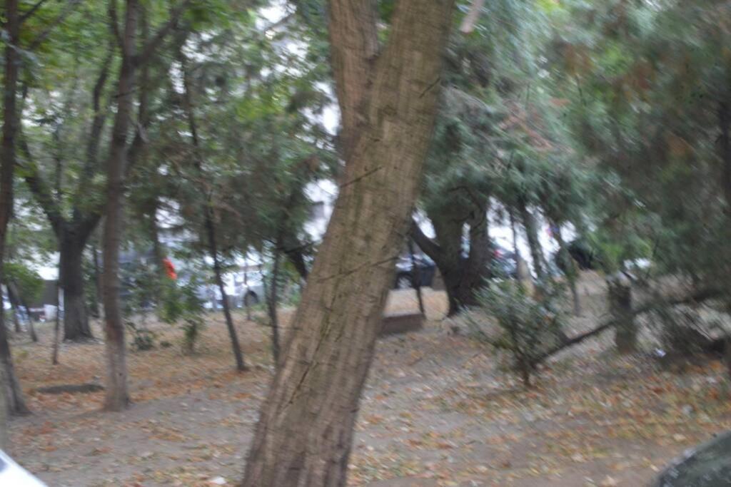 Apartament Unirii Studio Old Center Bucureşti