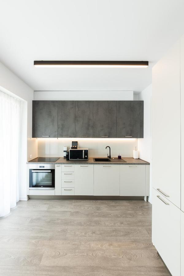 North Twin - Aviatiei Apartament Bucureşti