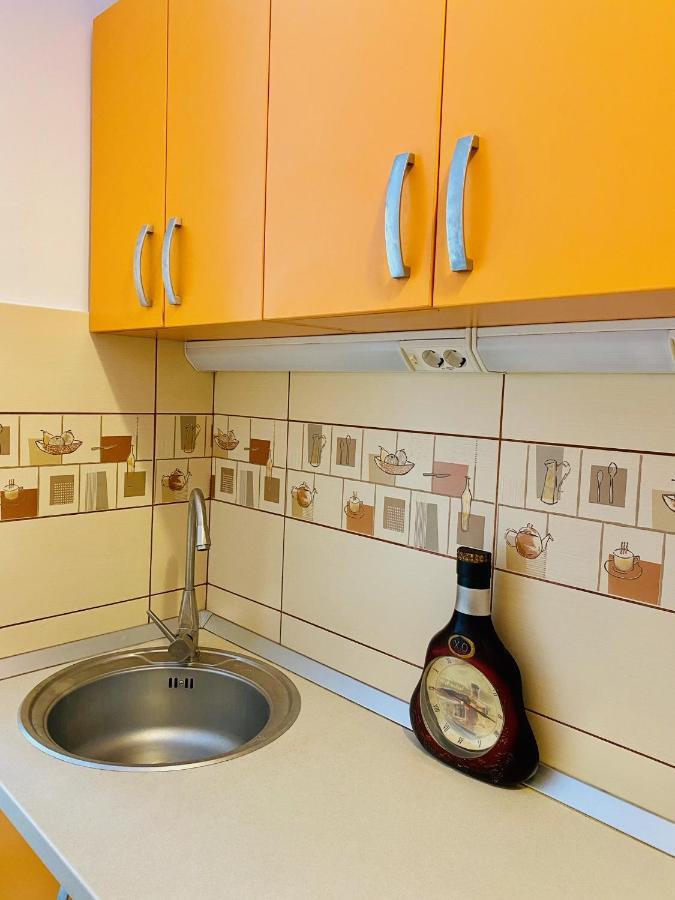 Calea Victoriei Studio Apartamento Bucareste
