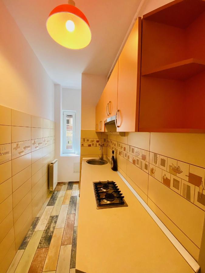 Calea Victoriei Studio Apartamento