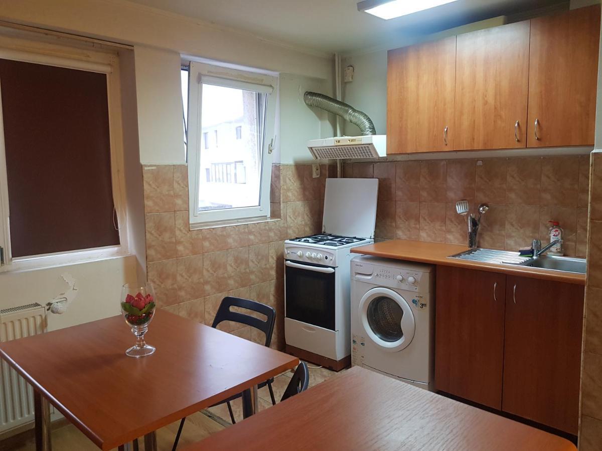 Avrig-ferdinand Apartment