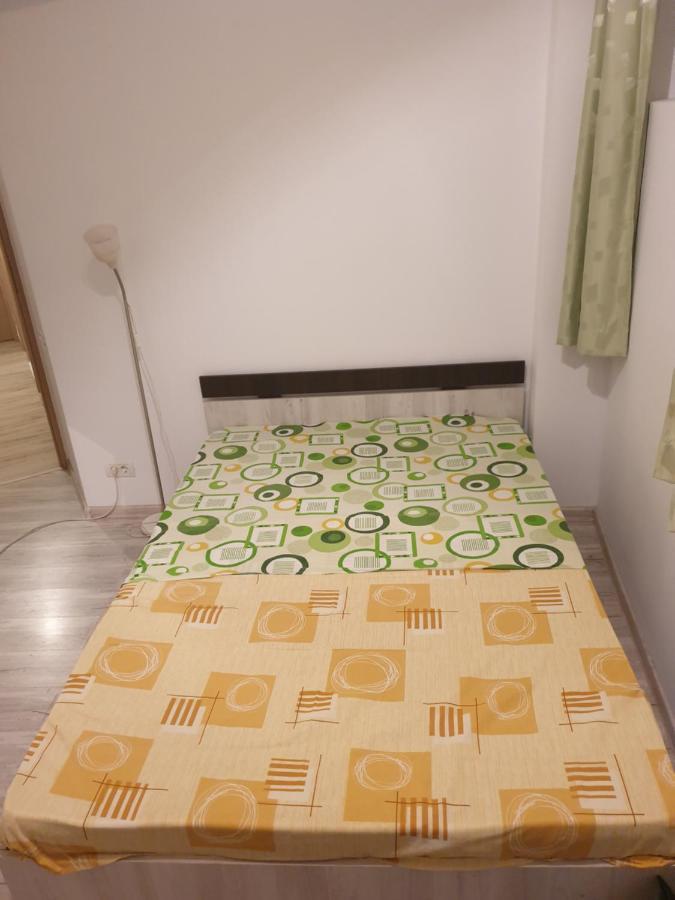 Grozavesti Cozy Apartament