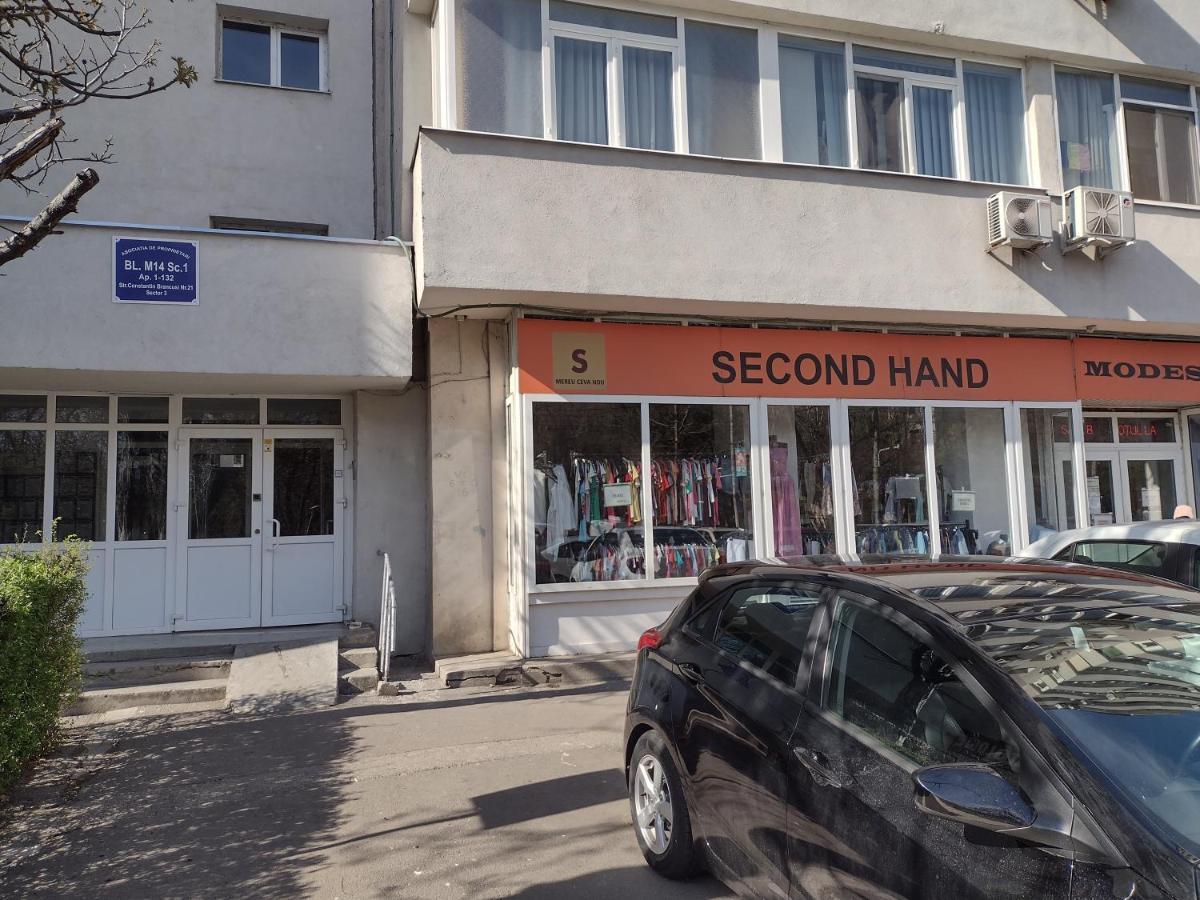 Apartament Delightful Brâncuși *