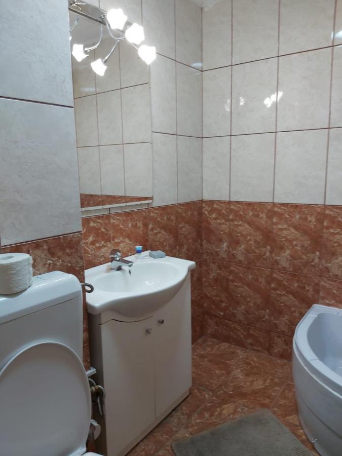 Avrig-ferdinand Apartment