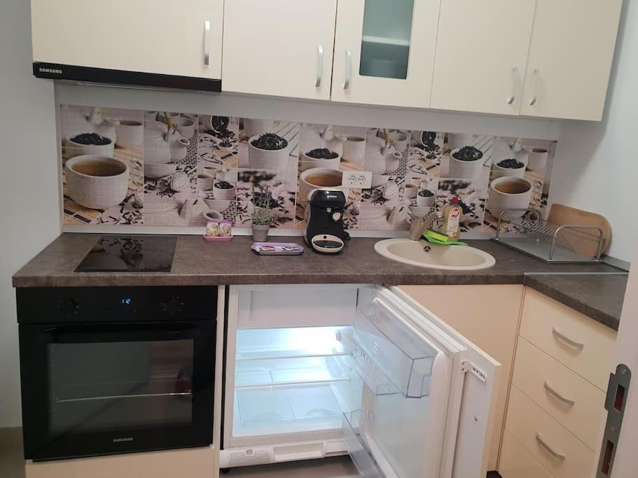 Apartament Luxury Studio Dristor