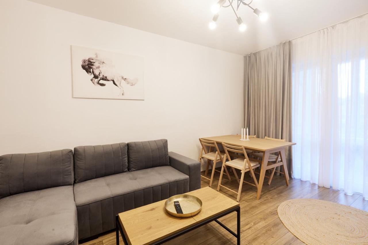 Cozy Minimal Apartament Center. Apartament Bucureşti