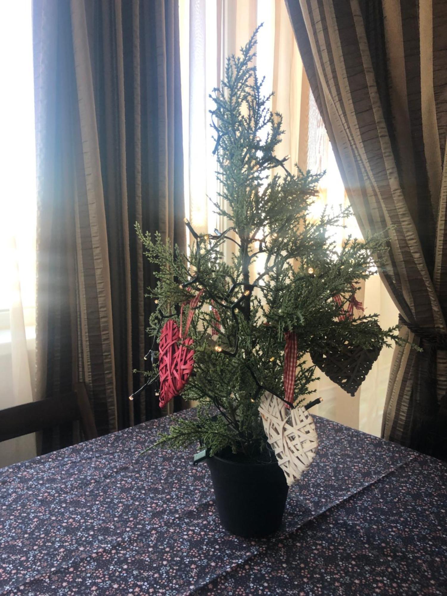 Family Retreat Politehnica Park Apartment Bucharest