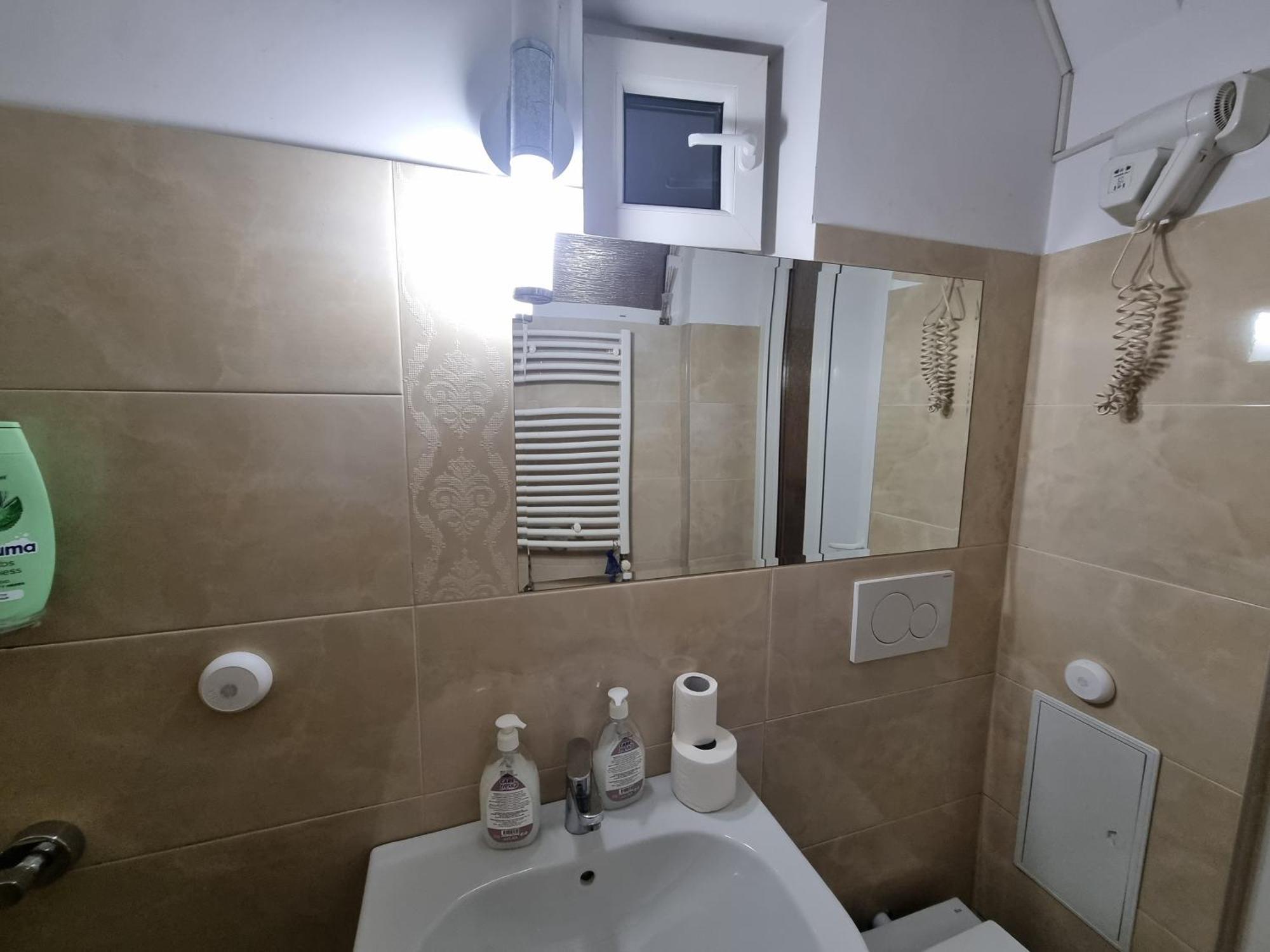 Apartament Golden Studio- Panoramic View With Terrace *