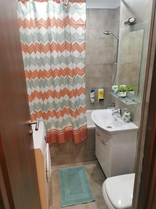 Apartment Studio Carol - Rond Baba Novac *