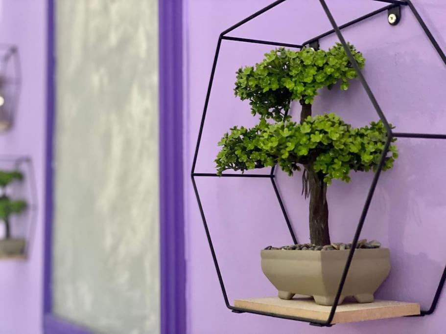 Apartament Purple Old Town Ultracental *