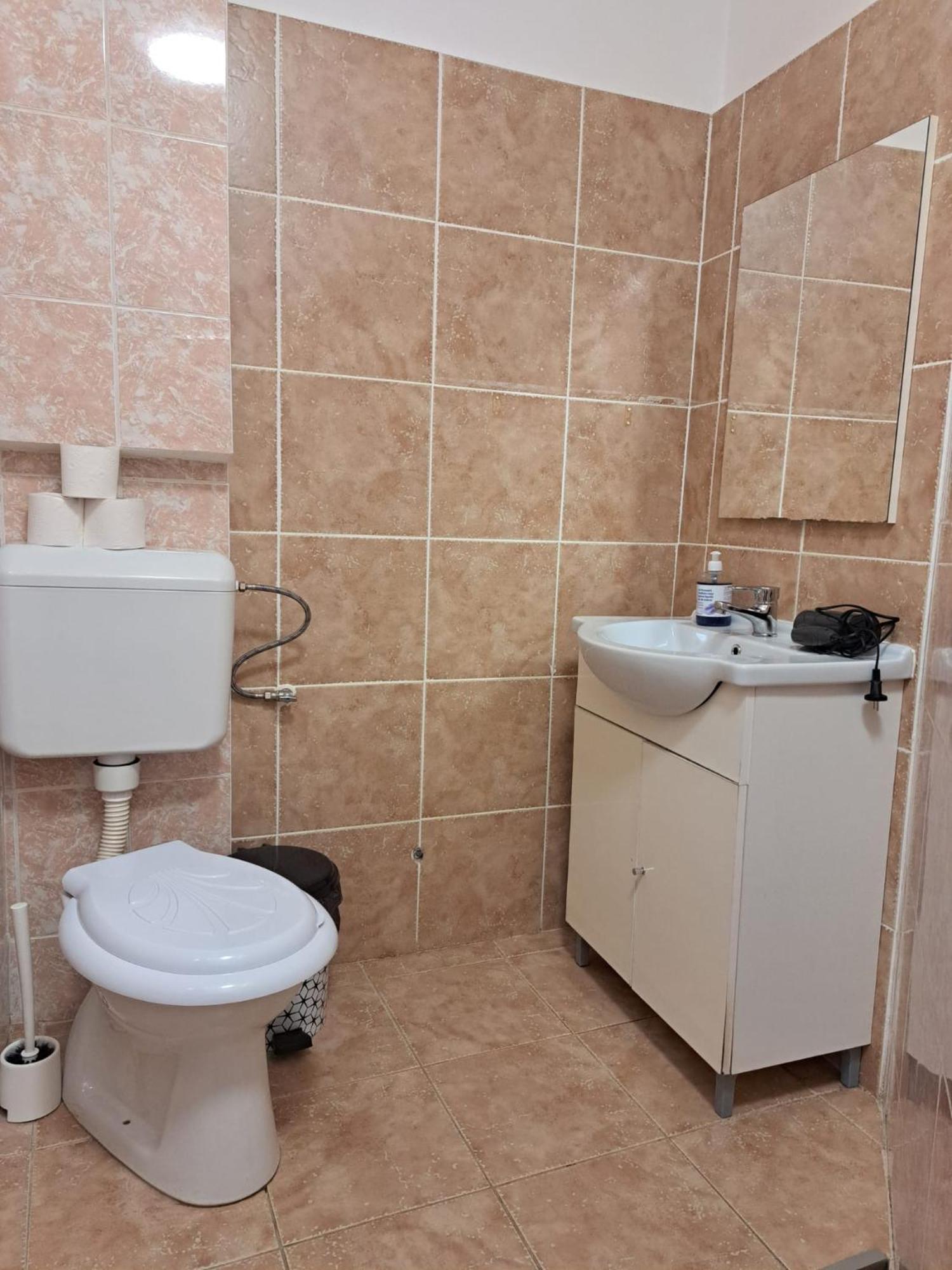 Casa de hóspedes Ris Piata Romana *