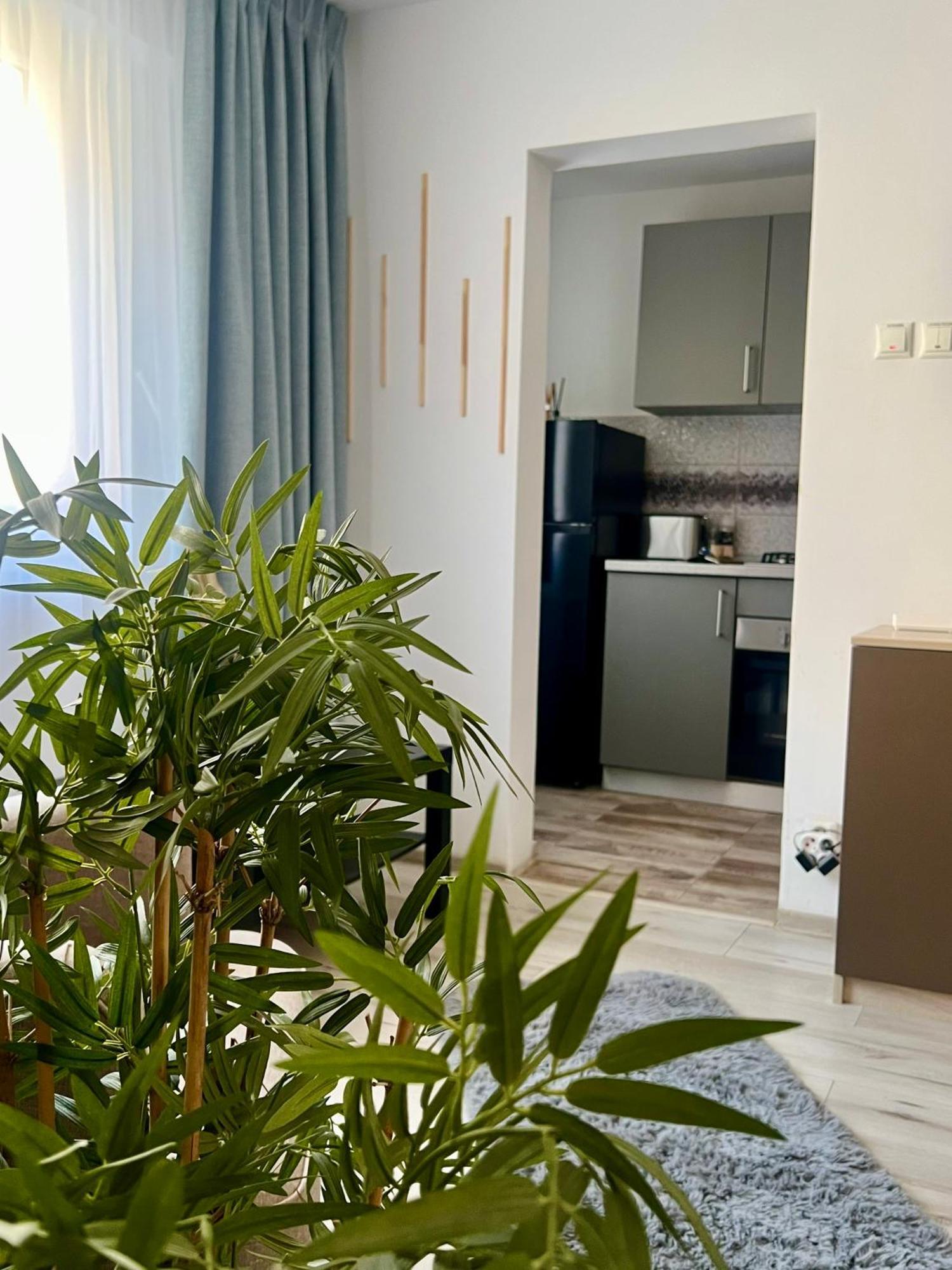 Apartment The Little House Bucharest