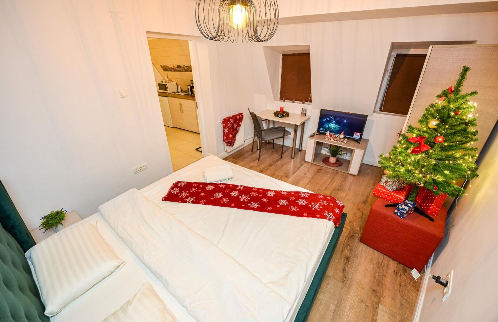 Ideal Center Apartment