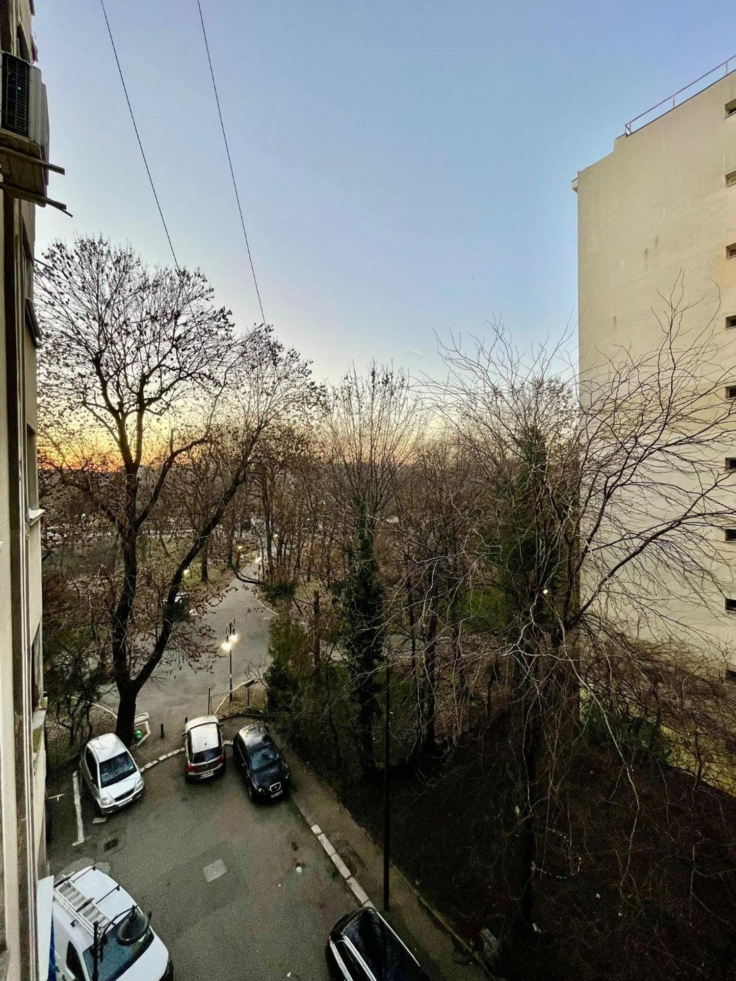 Apartment Candy Park Bucharest