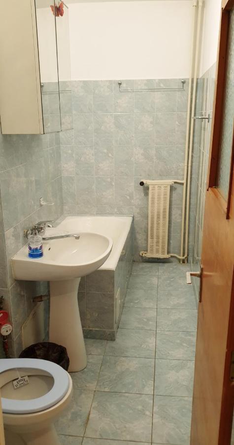 Apartment Central Studio Parcul Circului *