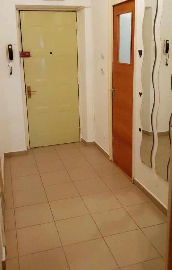 Apartment Central Studio Parcul Circului *