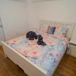 Cozy & Spacious 2Br Apartment With Netflix