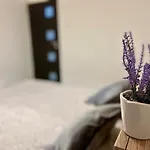 Moghioros Park Apartament