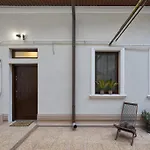 Cozy Green House