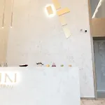 Luxury Brand New Win Herastrau
