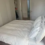 Herastrau New Apartment