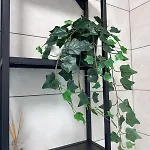 Best Value Studio, Panoramic View