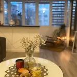 Modern & Cozy Apartment