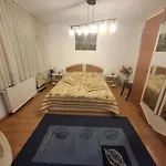 Casa 15