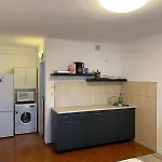 Lions Studio Dristor