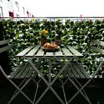 Soni Exclusive Studio Plaza With Private Parking & Self Check-In