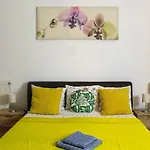 Collosal Studio