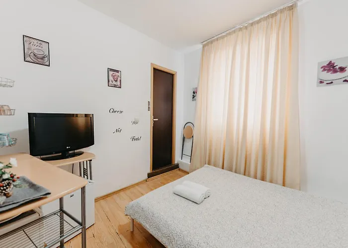 Cozy Studio On Victoriei Av