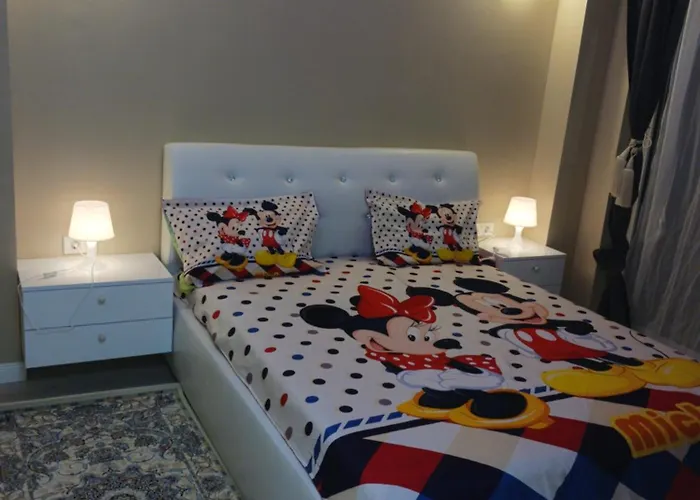 Myky Mouse Nu Primesc Santieristi Si Petrecareti