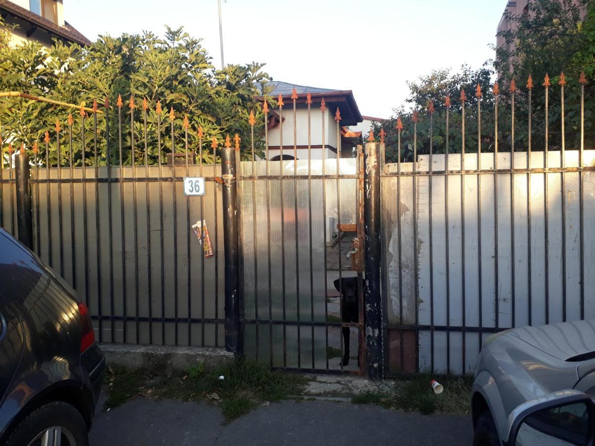 Tobyta Nu Primesc Santieristi Si Petrecareti Holiday home