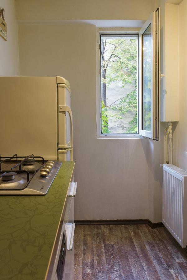 Apartament Apartament, Ultracentral, Piata Victoriei