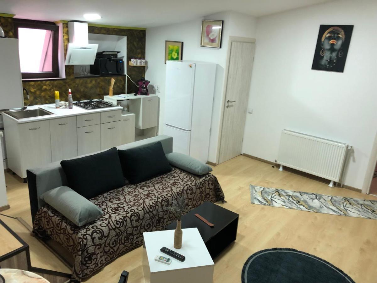 Serban Arenele Romane Marius Nasta Apartment