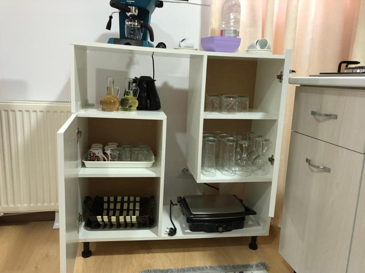 Apartment Serban Arenele Romane Marius Nasta