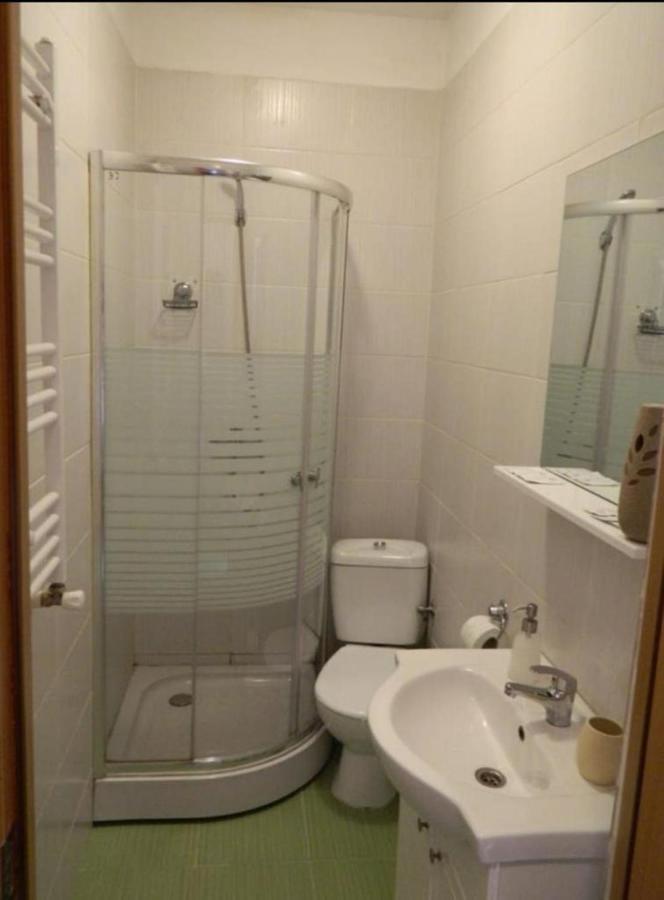 Studio Central Calea Victoriei Apartment *