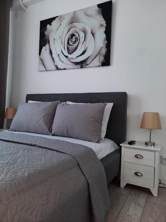 Luxury Center - Garofita Romana