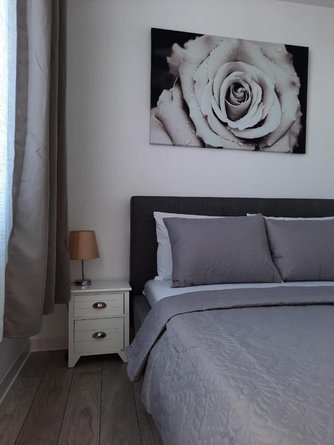 Luxury Center - Garofita Romana Apartment *