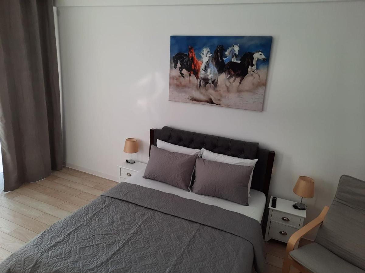 Luxury Center - Garofita Romana Apartment Bucharest