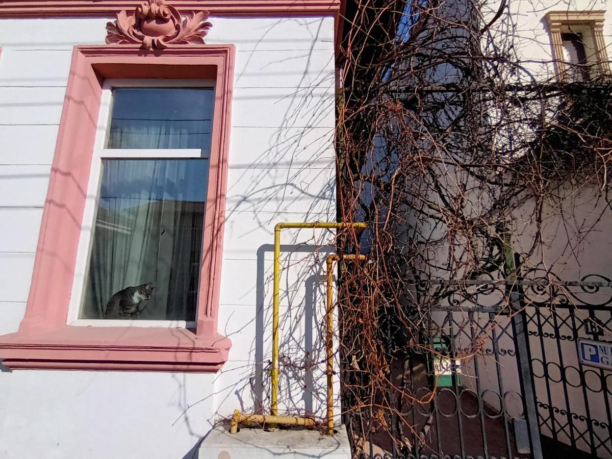 Casa Liveni * Bucureşti