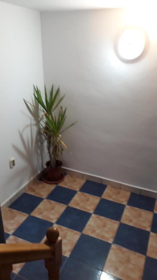 Casa de férias Sara 3 Dormitoare Nu Primesc Santieristi Si Petrecareti