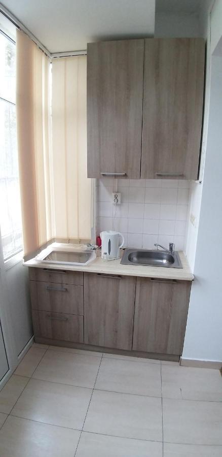 Domum George Enescu Apartment Bucharest