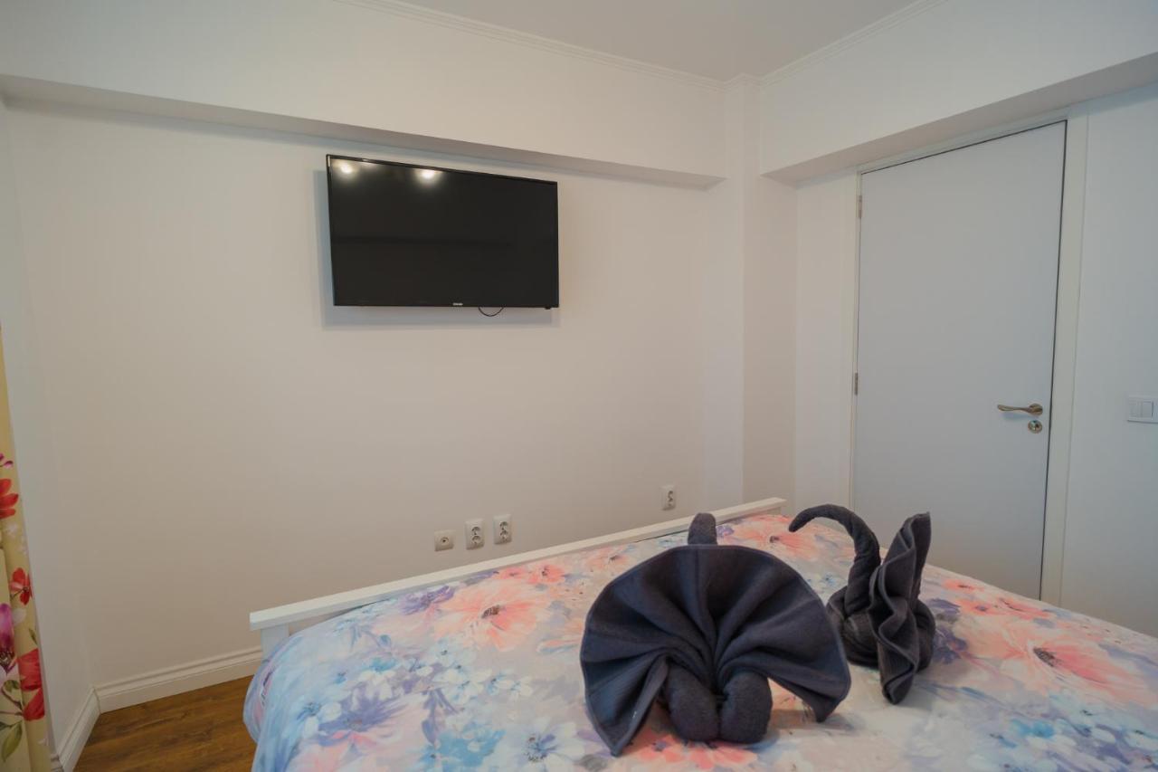 Cozy & Spacious 2br With Netflix * Bucharest