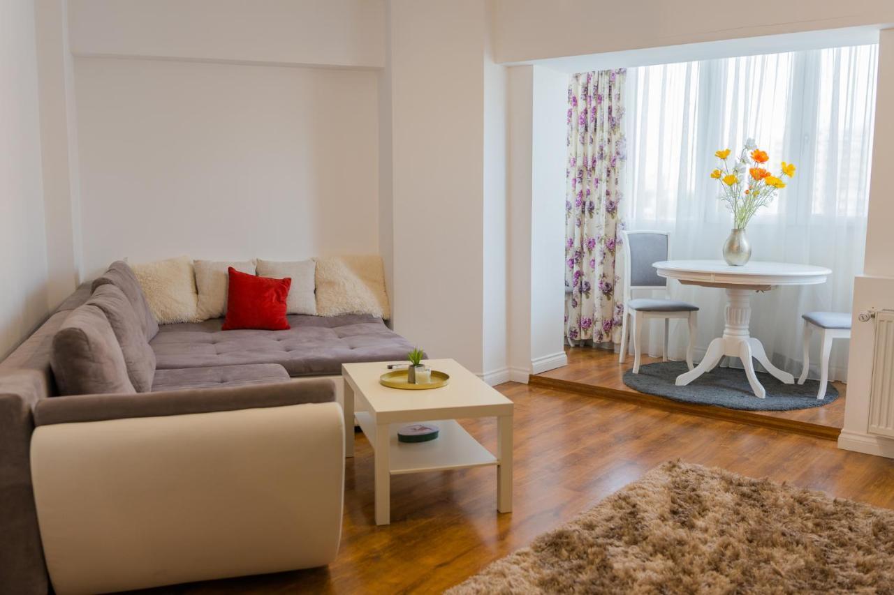 Cozy & Spacious 2br With Netflix * Bucharest